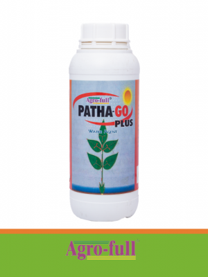 patha-go.png
